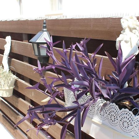 Ivoton Home Paphos Kültér fotó