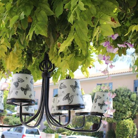 Ivoton Home Paphos Kültér fotó