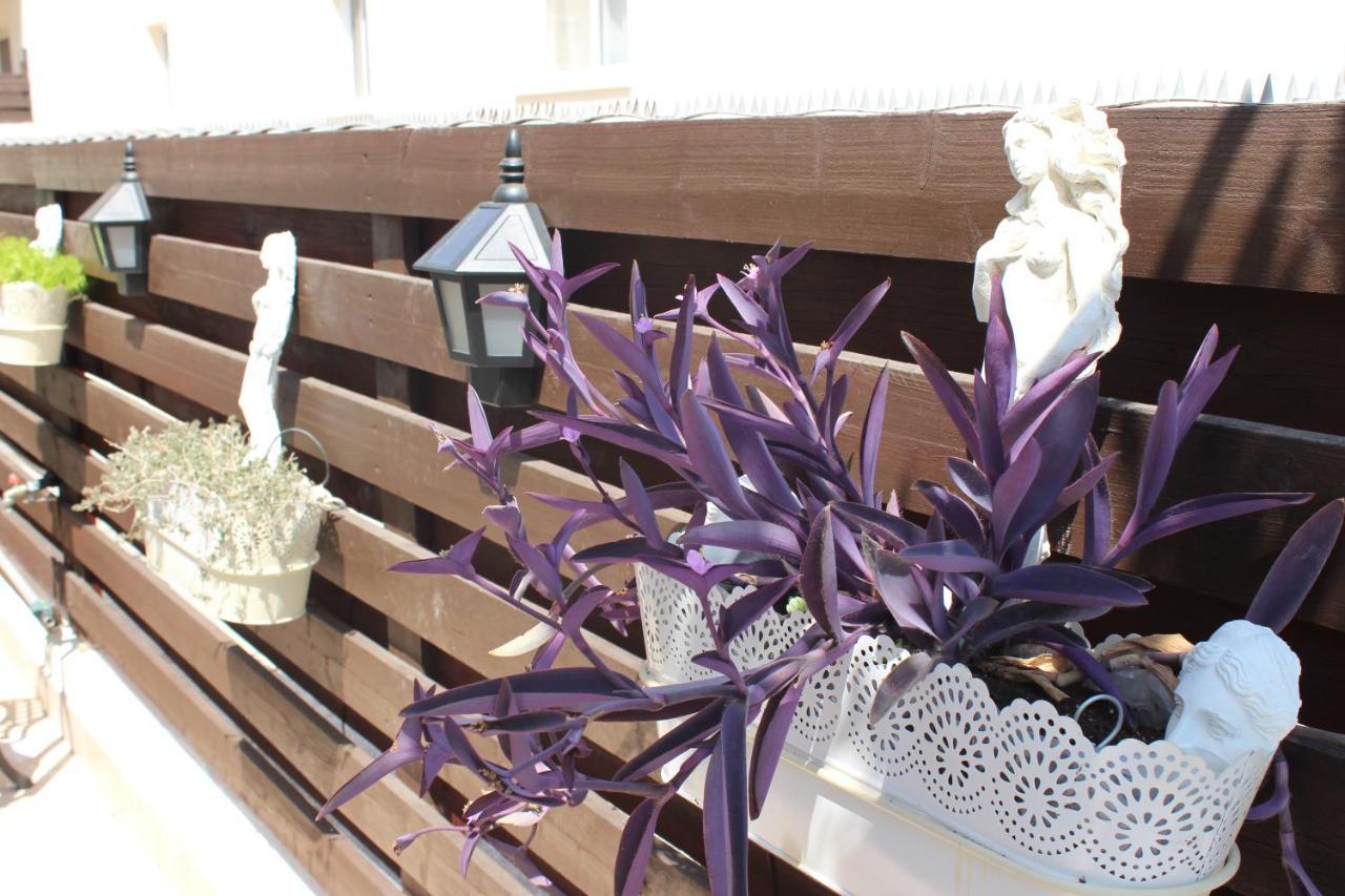 Ivoton Home Paphos Kültér fotó